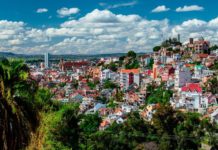 The Urban Jungle of Madagascar