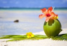 The adventurer’s dream