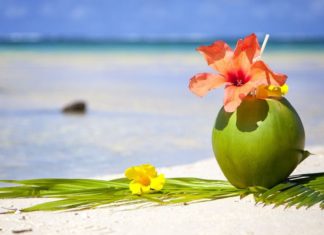 The adventurer’s dream